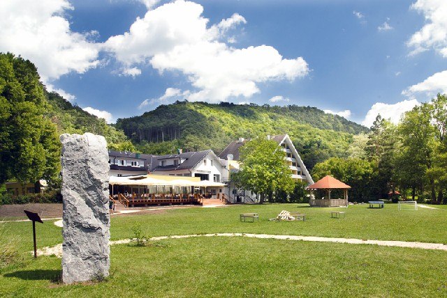 Hotel Krainerhütte mit grüner Wiese und Hügel im Hintergrund.