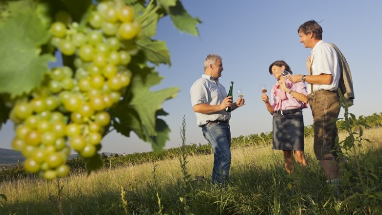 Drei Personen bei einer Weinverkostung im Weinberg mit Trauben im Vordergrund.