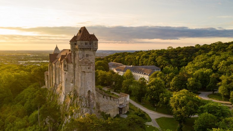 Burg Liechtenstein auf einem H&uuml;gel, umgeben von Wald, bei Sonnenuntergang.