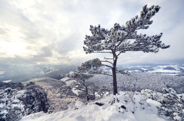 Winter, © Wienerwald Tourismus/Andreas Hofer