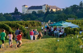 Menschen spazieren durch Weinberge bei einem Fest mit Zelten und Tischen.